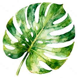 水彩植物叶片装饰画