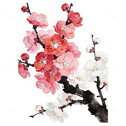 红粉白三色梅花苍劲老枝水彩元素