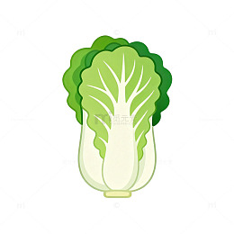 卡通风格青菜插画设计素材