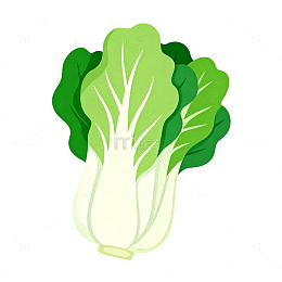 卡通风格小白菜插图设计素材