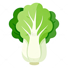 卡通风格白菜插画设计素材