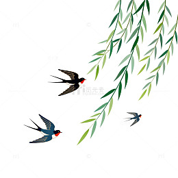春天燕子柳枝插画