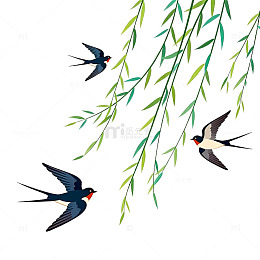 春日柳枝燕子卡通插画