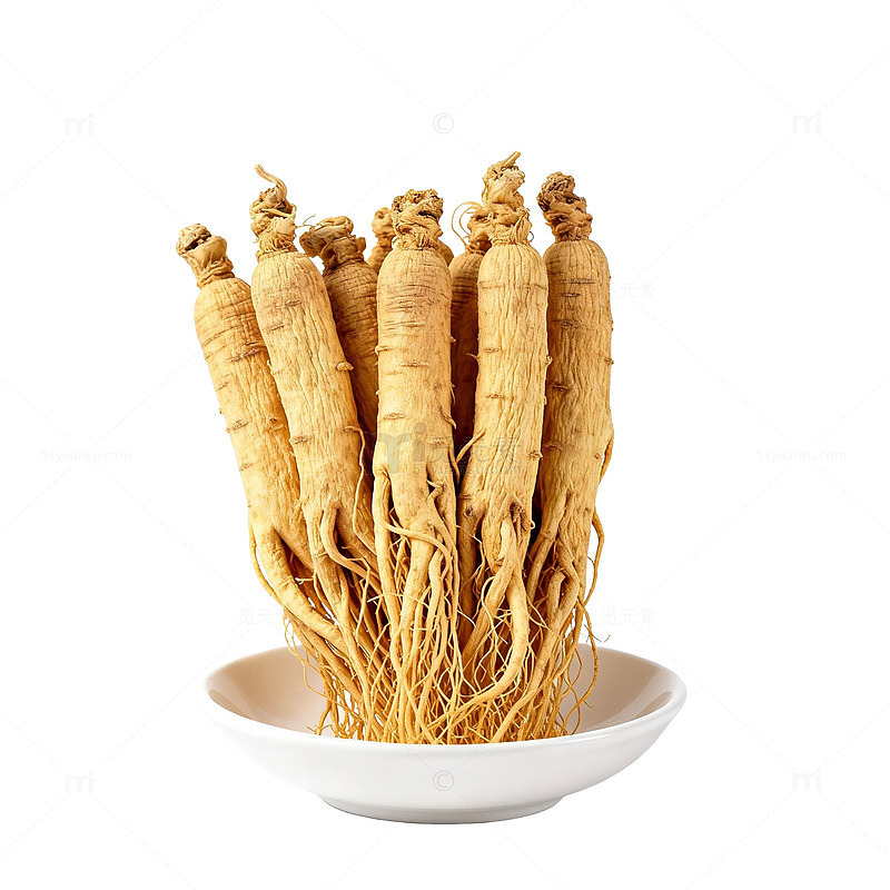 人参特写中药材