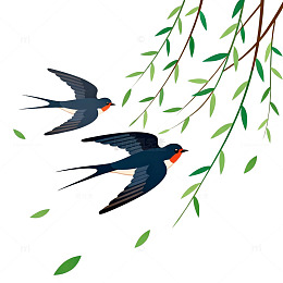 燕子飞柳插画