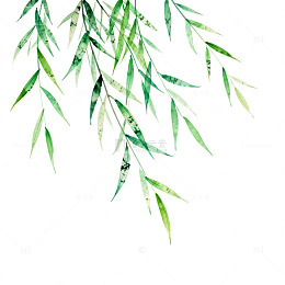 水墨柳叶艺术插画