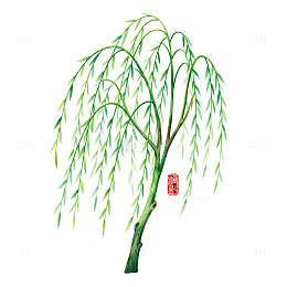 水墨柳树中国画插画