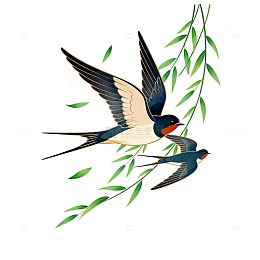 春日柳枝燕子插画