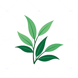 简约绿色植物插画