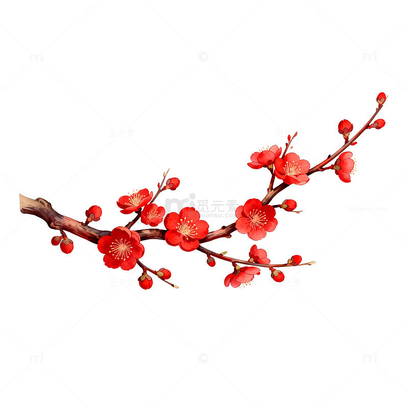 梅花盛开春天风景矢量插画
