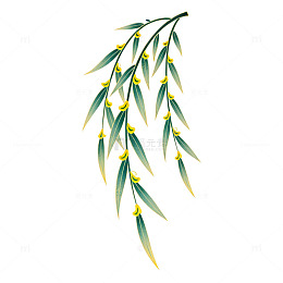 插画风格柳枝黄果装饰图案