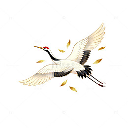 仙鹤飞舞中国风插画