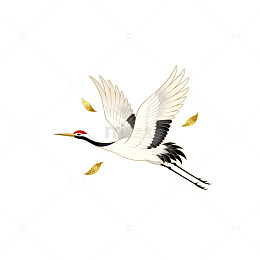 仙鹤飞翔插画设计