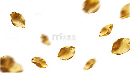 飘散的金黄玫瑰花瓣