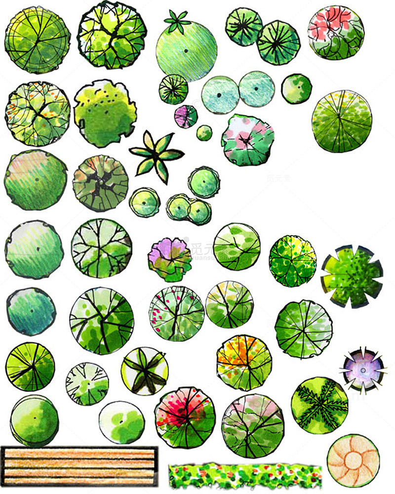 园林景观设计植物素材插画