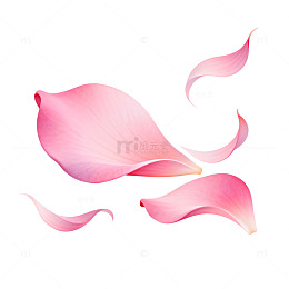 粉色花瓣插画设计素材