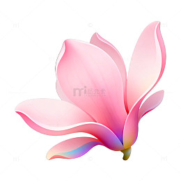 粉色玉兰花卉图