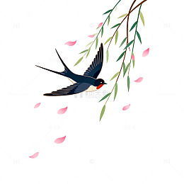 春天燕子飞柳插画