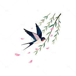 燕子柳枝春季插画素材