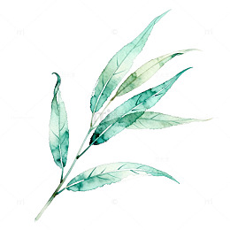 水彩树叶装饰图案设计素材