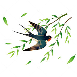 春天燕子柳枝插画素材