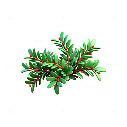 绿色植物插画冬青叶