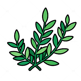 简约风绿色植物插画