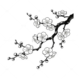 黑白线稿多枝梅花装饰插画元素