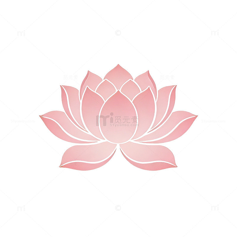 扁平风格的简约莲花插画