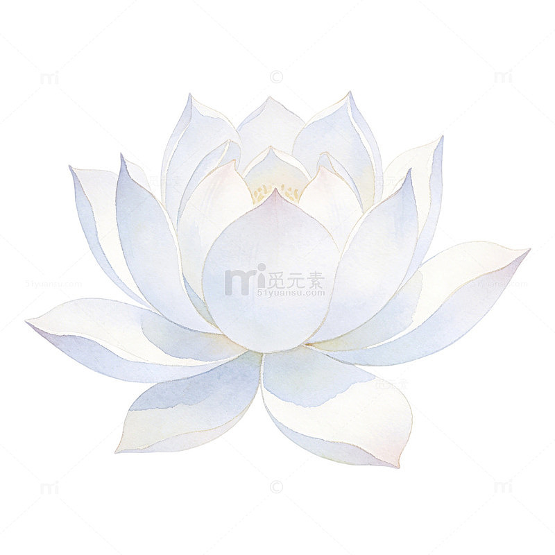 清新手绘淡色治愈莲花