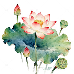 水墨荷花艺术插画