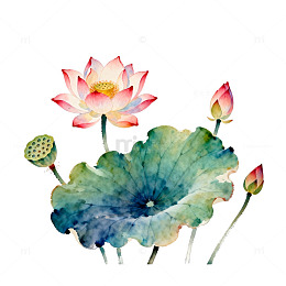 水墨荷花艺术插画
