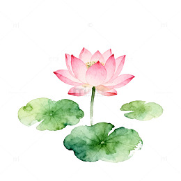 水彩荷花装饰画元素