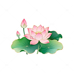 插画风格荷花荷叶矢量设计素材
