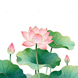 工笔画荷花荷叶装饰图案