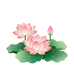 水墨风荷花荷叶插画