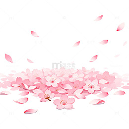 樱花飘落插画