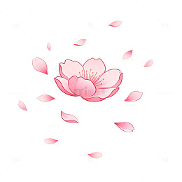 粉色樱花飘落插画