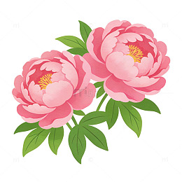 牡丹花插画矢量设计素材