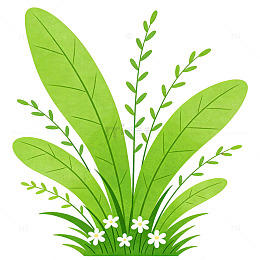 卡通植物插画