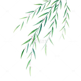 柳枝水彩画素材