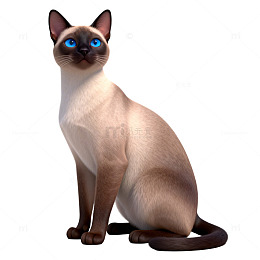 3D动画暹罗猫造型图