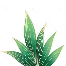 绿色植物叶片插画素材