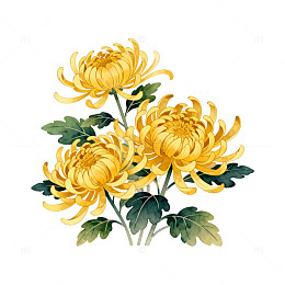 黄色菊花水墨画