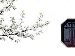 古典窗棂梨花装饰画