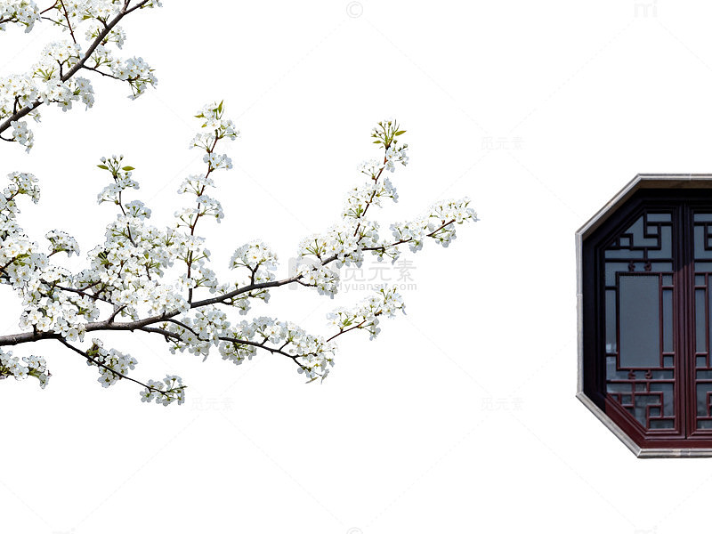 古典窗棂梨花装饰画