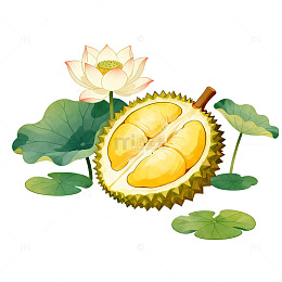荷花池畔榴莲插画