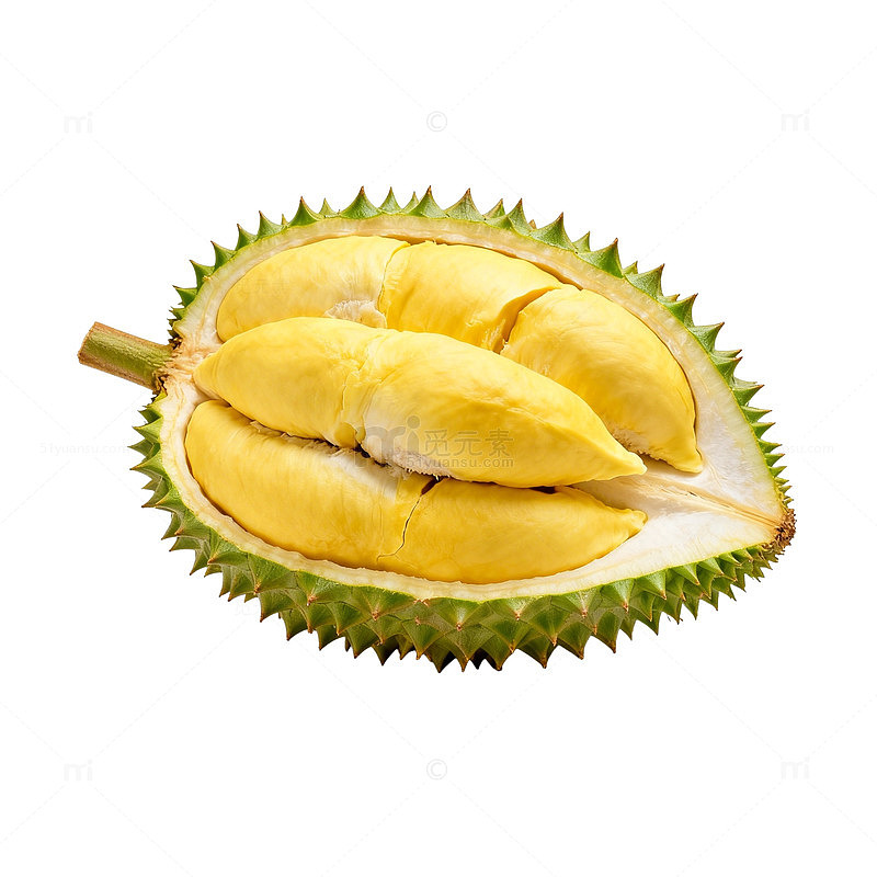 新鲜榴莲切开特写