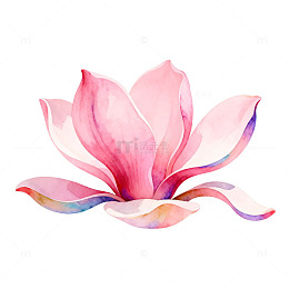 水彩玉兰花艺术插画设计素材