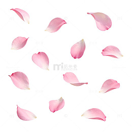 粉色花瓣浪漫装饰素材